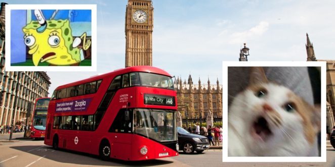 Новый британский мем: автобусы Лондона начали предупреждать о движении, когда и так уже едут