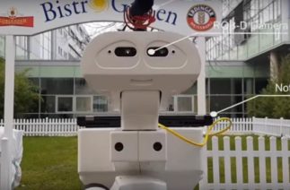 «Сгоняй за пивком!»: немецкие инженеры научили робота приносить пиво из холодильника