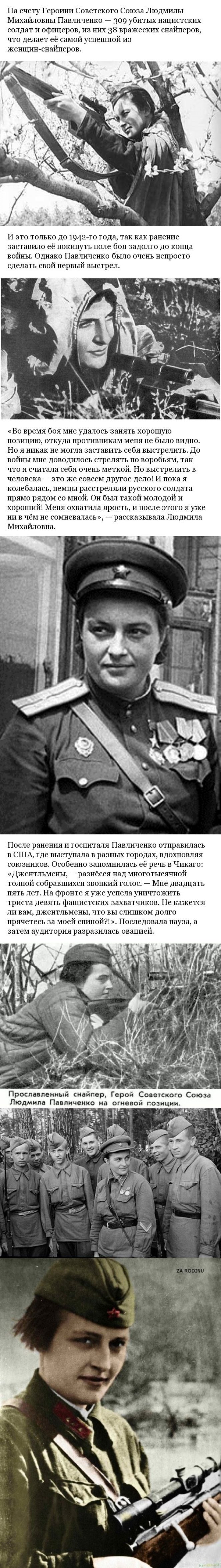 Самая большая ракушка в мире Живая природа Самая большая ракушка в мире Живая природа