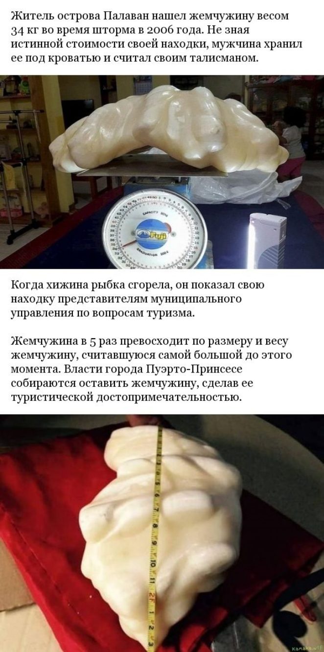 Филиппинский рыбак 10 лет хранил у себя дома гигантскую жемчужину стоимостью 100 миллионов долларов
