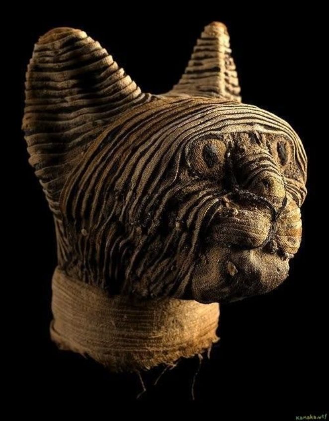 Мумия кошки, 664-30 гг. до н.э